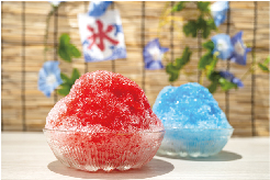 五七五で作ってみよう!夏休みこども俳句教室