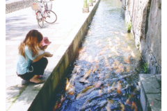 気軽に始めてみよう!はじめての写真俳句(2日制)