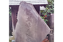 【あだち区民大学塾】性翁寺(しょうおうじ)住職に聞く「足立姫」伝説と地域社会(3日制)