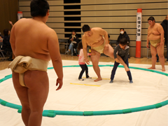 相撲体験