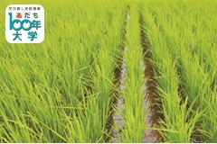 対面・オンライン講座　農業の環境問題と臨界点　SDGｓ実現のためのイノベーション【あだち100年大学】