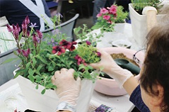 初夏の花を楽しむ　初心者のための寄せ植え講座